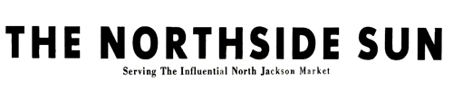 NSS Logo